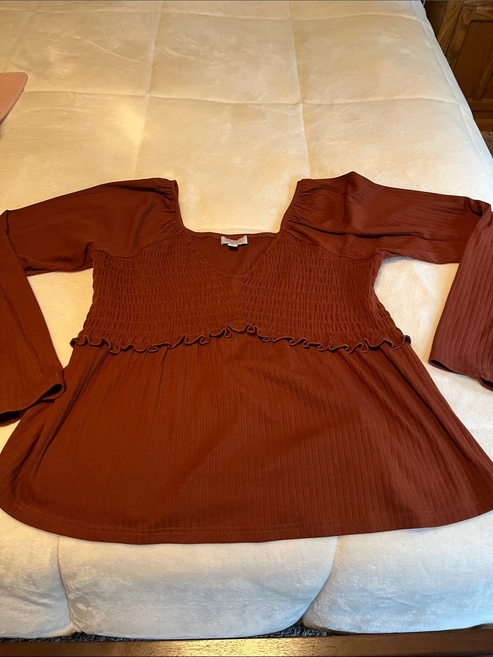 Women's Smocked V-Neck Long Sleeve Top - Rust